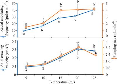 Why and How is Burrow Ventilation Initiated? A Case Study of Polychaete Behavior in the Burrow at Different Temperatures